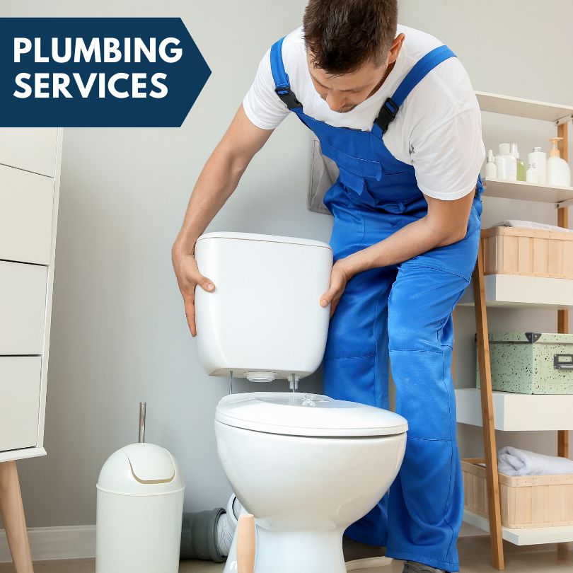 Plumbing Company in Central Lake, MI