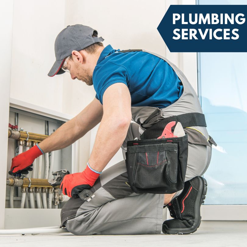 Central Lake Plumbing Company